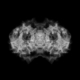 Découvrez l'art immersif à travers "Particules", une installation vidéo qui illustre la dynamique complexe de l'esprit humain. À travers cette photographie de l'œuvre, la vidéo montre comment les particules, représentées par une énergie fluide, symbolisent les mécanismes mentaux et neuronaux. L'expérience visuelle permet de suivre l'évolution des pensées et émotions, illustrées par la transformation et la concentration des particules, offrant ainsi une immersion sensorielle dans les processus cérébraux.